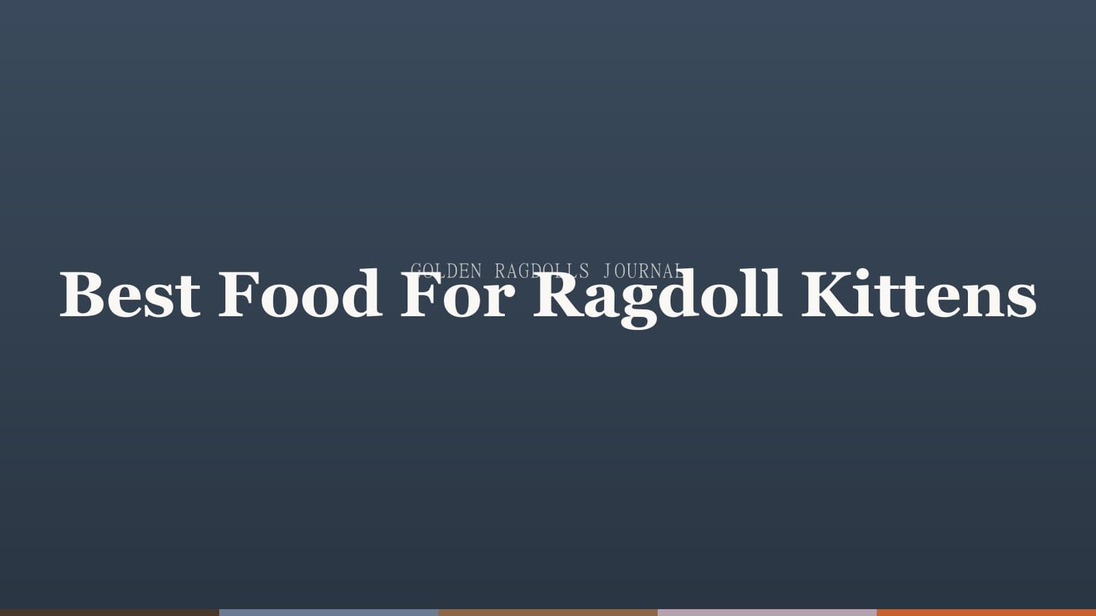 Best Food for Ragdoll Kittens: A Breeder's Recommendations