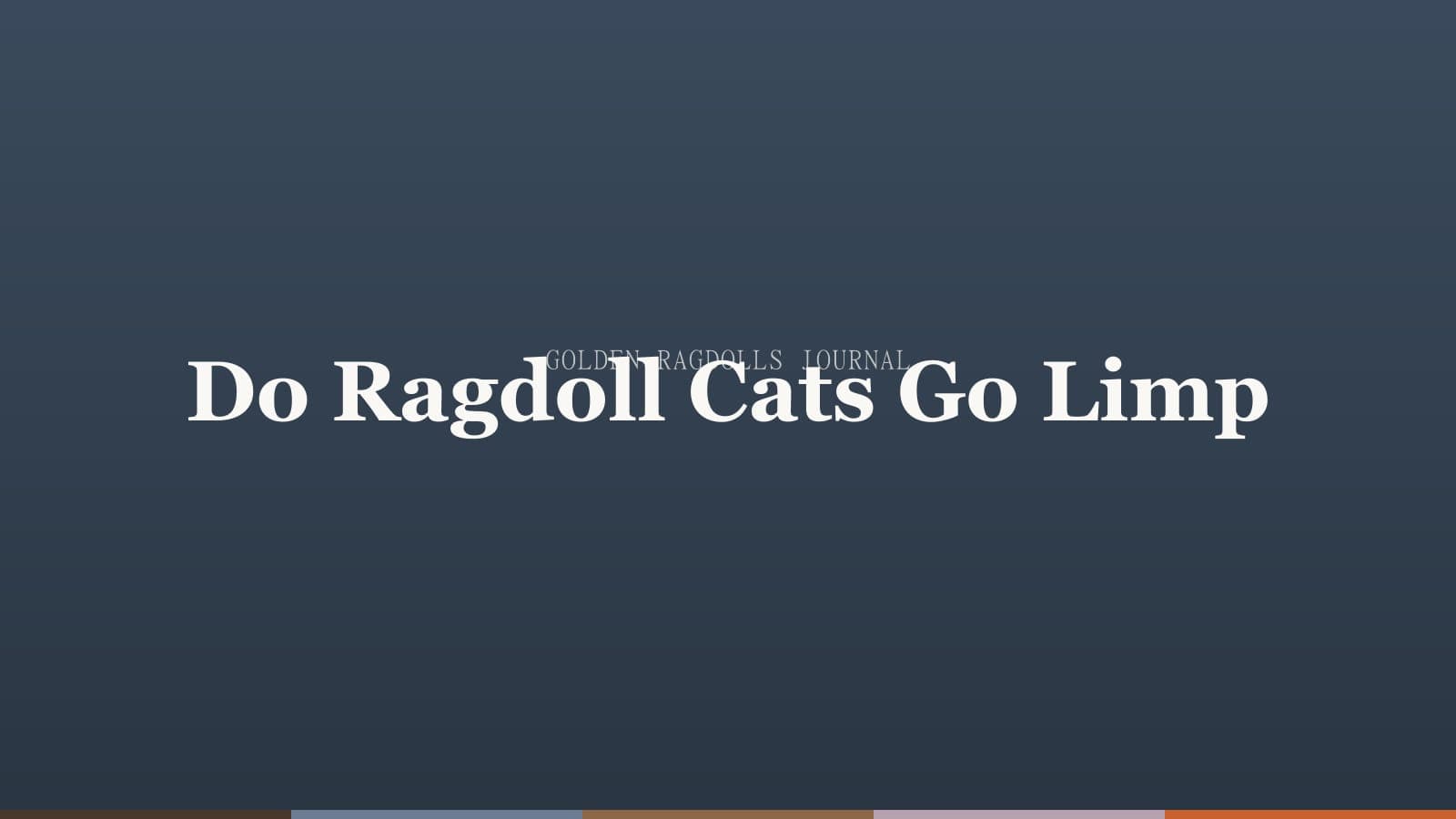 Do Ragdoll Cats Go Limp? The Science Behind the Flop
