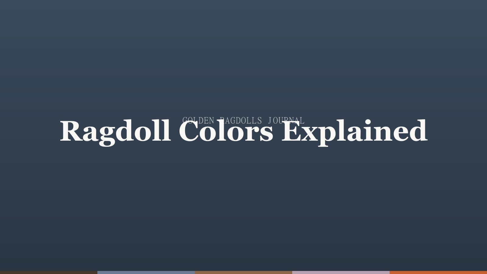 Ragdoll Cat Colors and Patterns: The Complete Guide