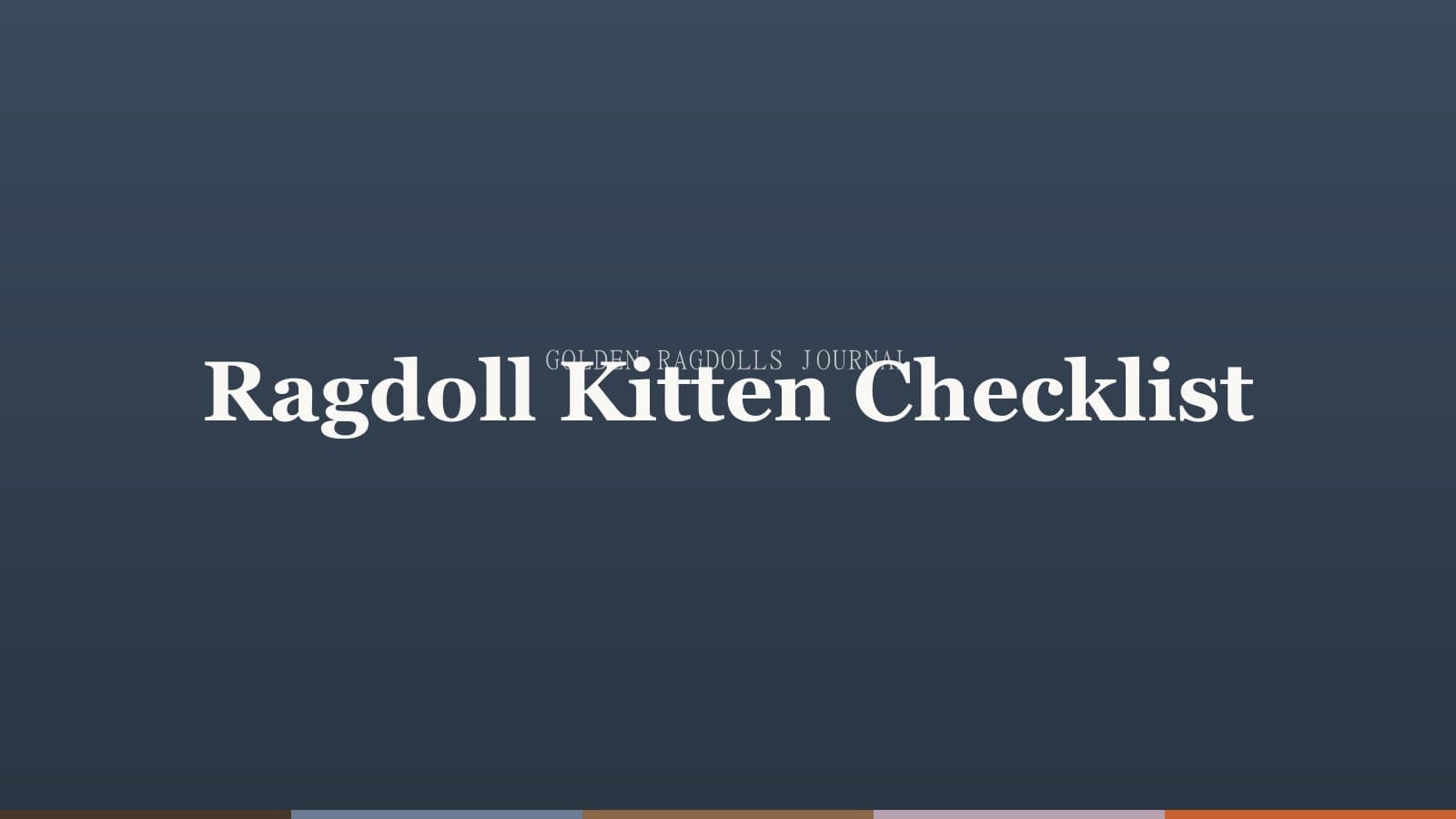 Preparing Your Home for a Ragdoll Kitten: Complete Checklist