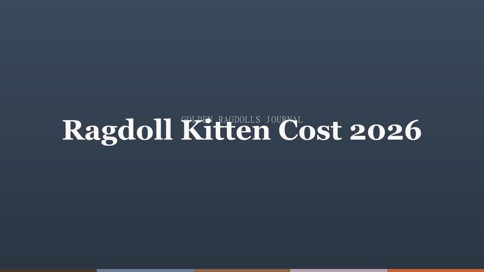 How Much Does a Ragdoll Kitten Cost in 2026?