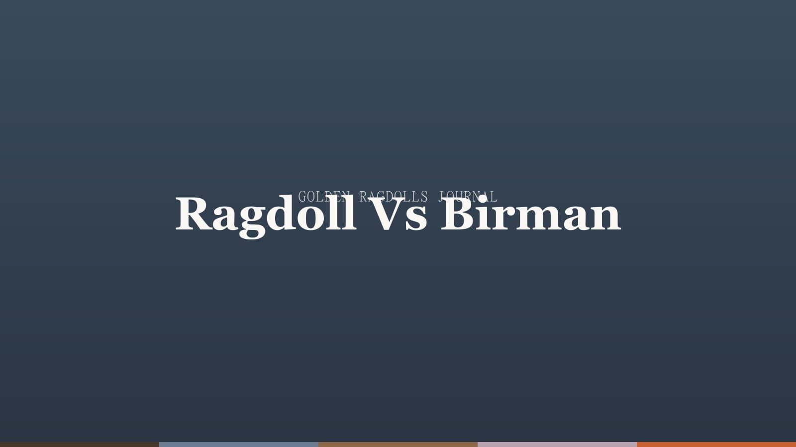 Ragdoll vs Birman: How to Tell Them Apart