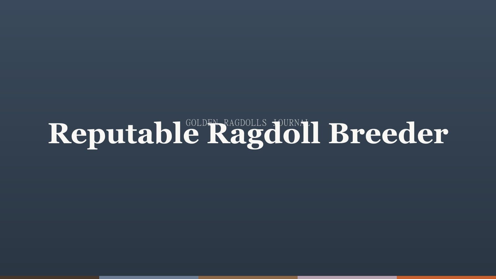 How to Find a Reputable Ragdoll Breeder (Red Flags to Avoid)